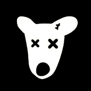 Telegram profile photo for willesss news