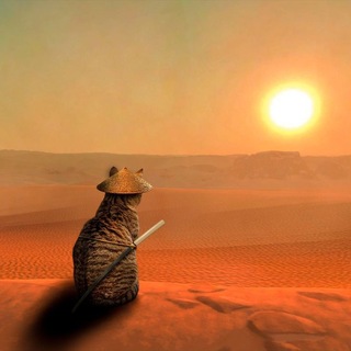 Telegram profile photo for А че так?