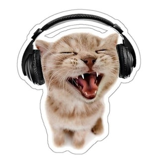 Telegram profile photo for cafiz