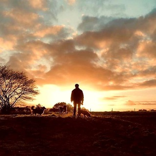 Telegram profile photo for The Wanderer - Tribe