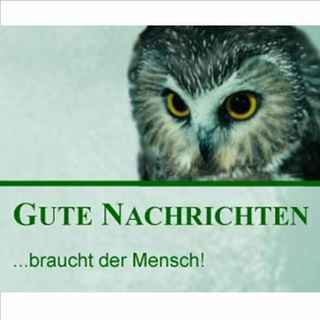 Telegram profile photo for Positive Nachrichten ( Inspiration, freude )
