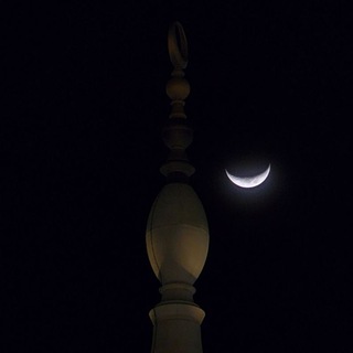 Telegram profile photo for صور | الحابر