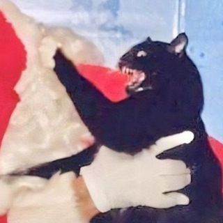 Telegram profile photo for ✶| ролл панкейс (егэ эпизод)