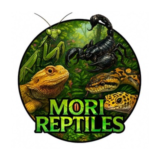 Telegram profile photo for Mori reptiles