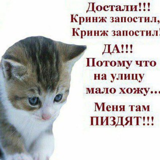 Telegram profile photo for стикеры | stickers