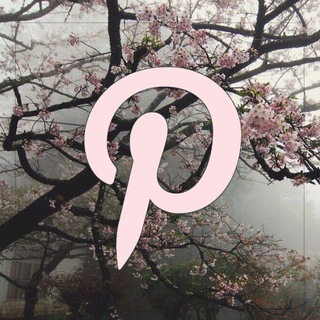Telegram profile photo for Pinterest