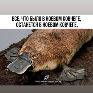 Telegram profile photo for Четверговые