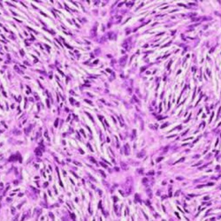 Telegram profile photo for Pathology Data