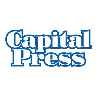 Telegram profile photo for Типография Capital Press