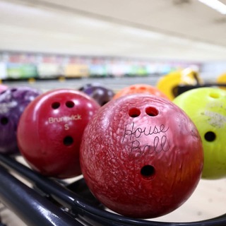 Telegram profile photo for Orchid Bowl by Orchid Country Club