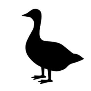 Telegram profile photo for Гусь в Берлине Chat