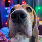 Telegram profile photo for пельмешки