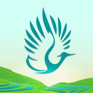 Telegram profile photo for Heron Asia Announcements