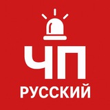 Telegram profile photo for ЧП - Россия
