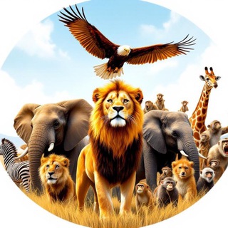 Telegram profile photo for Животный Мир
