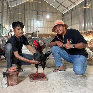 Telegram group profile photo for ណារ៉ុង ឡង់ឌី (ហៅ យោគ)