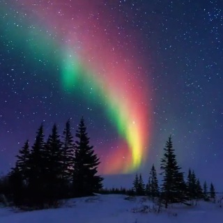 Telegram profile photo for Aurora