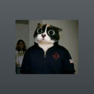 Telegram profile photo for afk