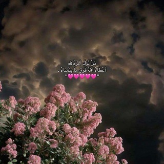 Telegram profile photo for مأوي .