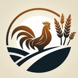 Telegram profile photo for A Limia News