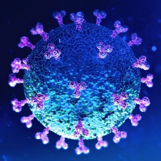 Telegram profile photo for CovidNews