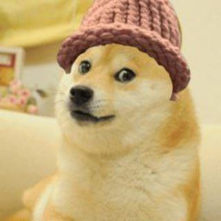 Telegram profile photo for SHILLING Groups