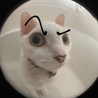 Telegram profile photo for мама скупердяйка 🇺🇦