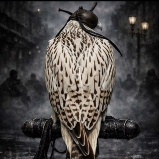 Telegram profile photo for بلاك ليست 🎖️ chat