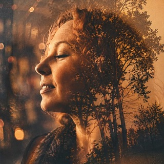 Telegram profile photo for Мягкой силе быть 💚
