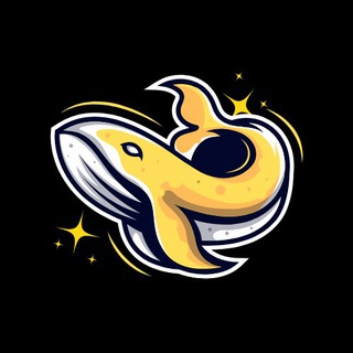 Telegram profile photo for StarWhalez Reviews