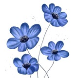 Telegram profile photo for إنسان