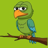Telegram profile photo for BIRB (Entry Portal)
