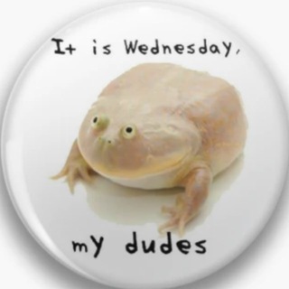 Telegram profile photo for It is Wednesday My Dudes