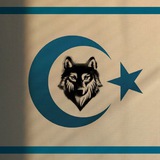 Telegram profile photo for ๐๐๐๐๐๐๐ ๐๐๐๐๐๐ ๐ค๐ป