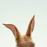 Telegram profile photo for MWG