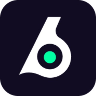 Telegram profile photo for Birdeye Data Announcements