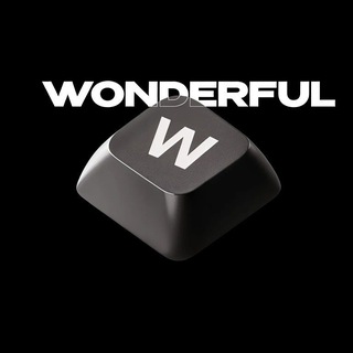 Telegram profile photo for WONDERFULTECH