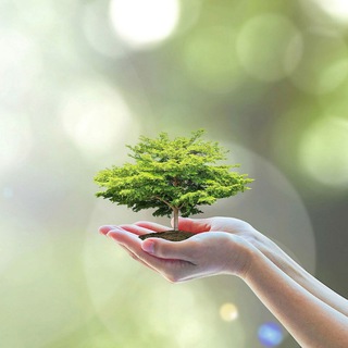 Telegram profile photo for 🌱 Zur Natur zurück 🍀