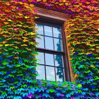 Telegram profile photo for My beautiful world