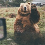 Telegram profile photo for Наблюдатель