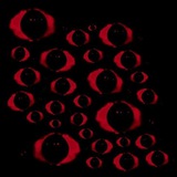 Telegram profile photo for πΈπππ ππππππ.