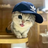 Telegram profile photo for ;)