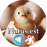 Telegram profile photo for Natus est IT