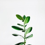 Telegram profile photo for minimalism