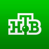 Telegram profile photo for НТВ