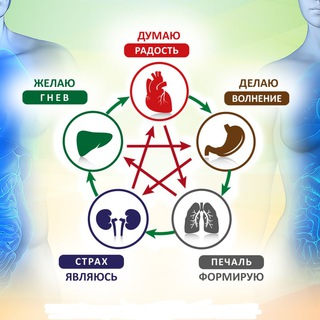 Telegram profile photo for Здоровье, Характер, Психосоматика, Осознанность