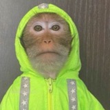 Telegram profile photo for Переход