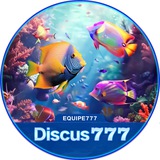 Telegram profile photo for Discus777.com