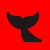 Telegram profile photo for КИТ