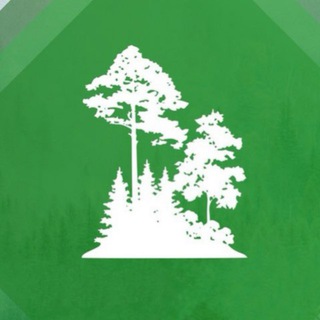 Telegram profile photo for Министерство лесного хозяйства и лесопереработки Хабаровского края